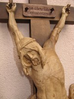 /album/galerie/marhofik-k1det-b-jpg/